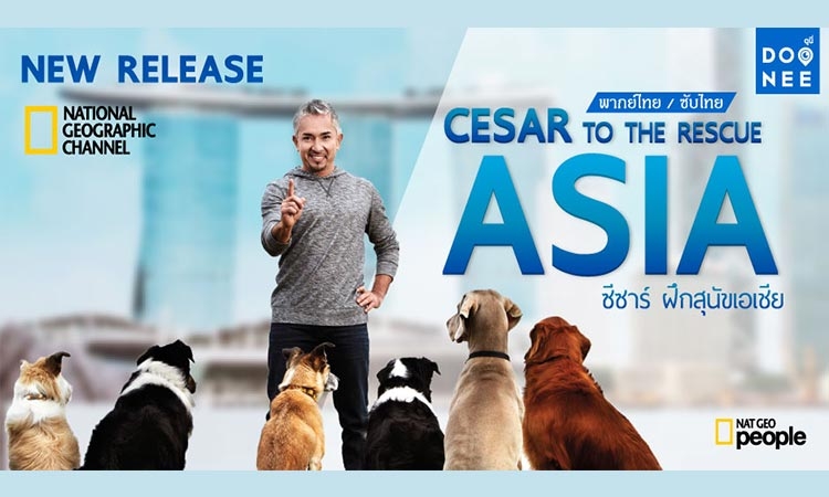 Cesar to the Rescue Asia ซีซ่าร์ ฝึกสุนัขเอเชีย