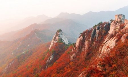 เที่ยว ซอรัคซาน ใบไม้เปลี่ยนสี ตามหาใบไม้แดงที่เกาหลี