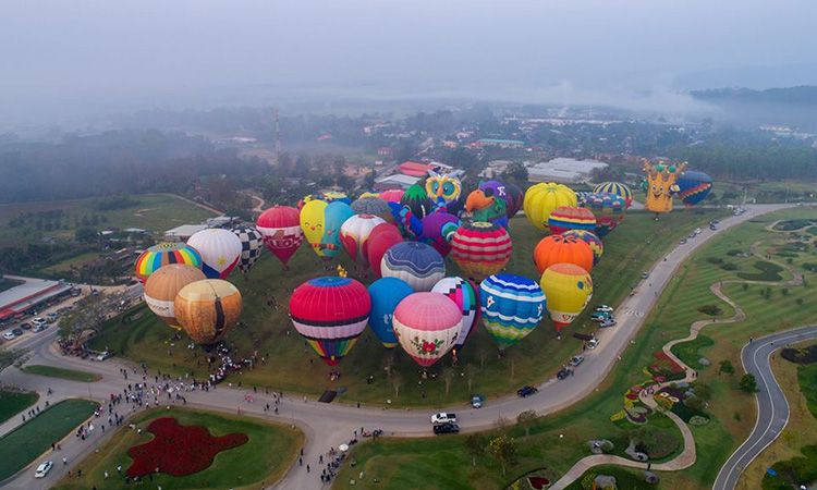พบกับ Singha Park ChiangRai International Balloon Fiesta 2019 ณ สิงห์ปาร์ค เชียงราย